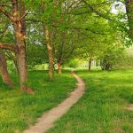 [여름수양회-4] 나를 따르라