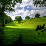 [2017여름수양회-4] 홍해를 건너는 믿음