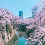 고바울선교사님방문 / 오클레어 소식